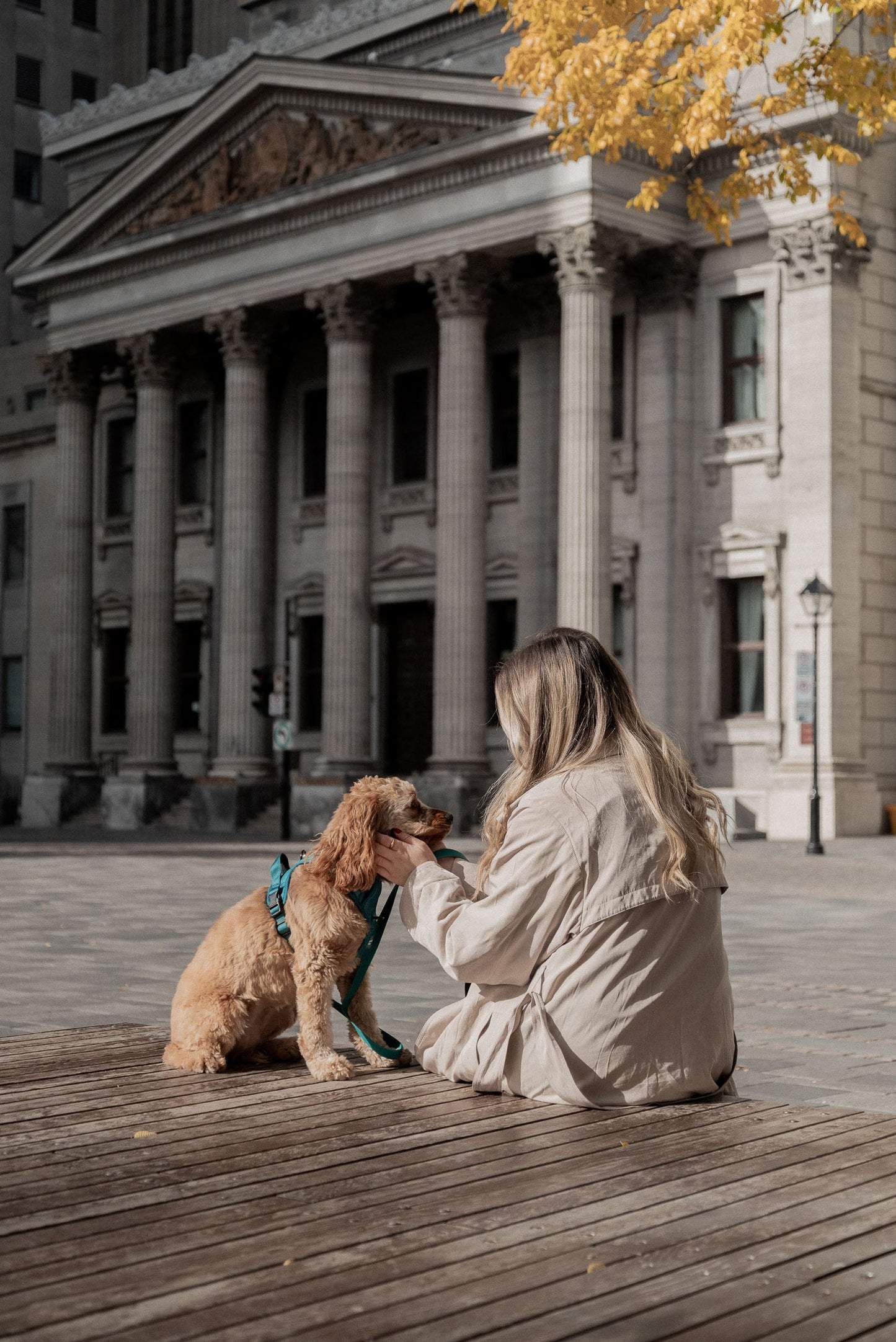 Harnais Classic 2.0 Mojito