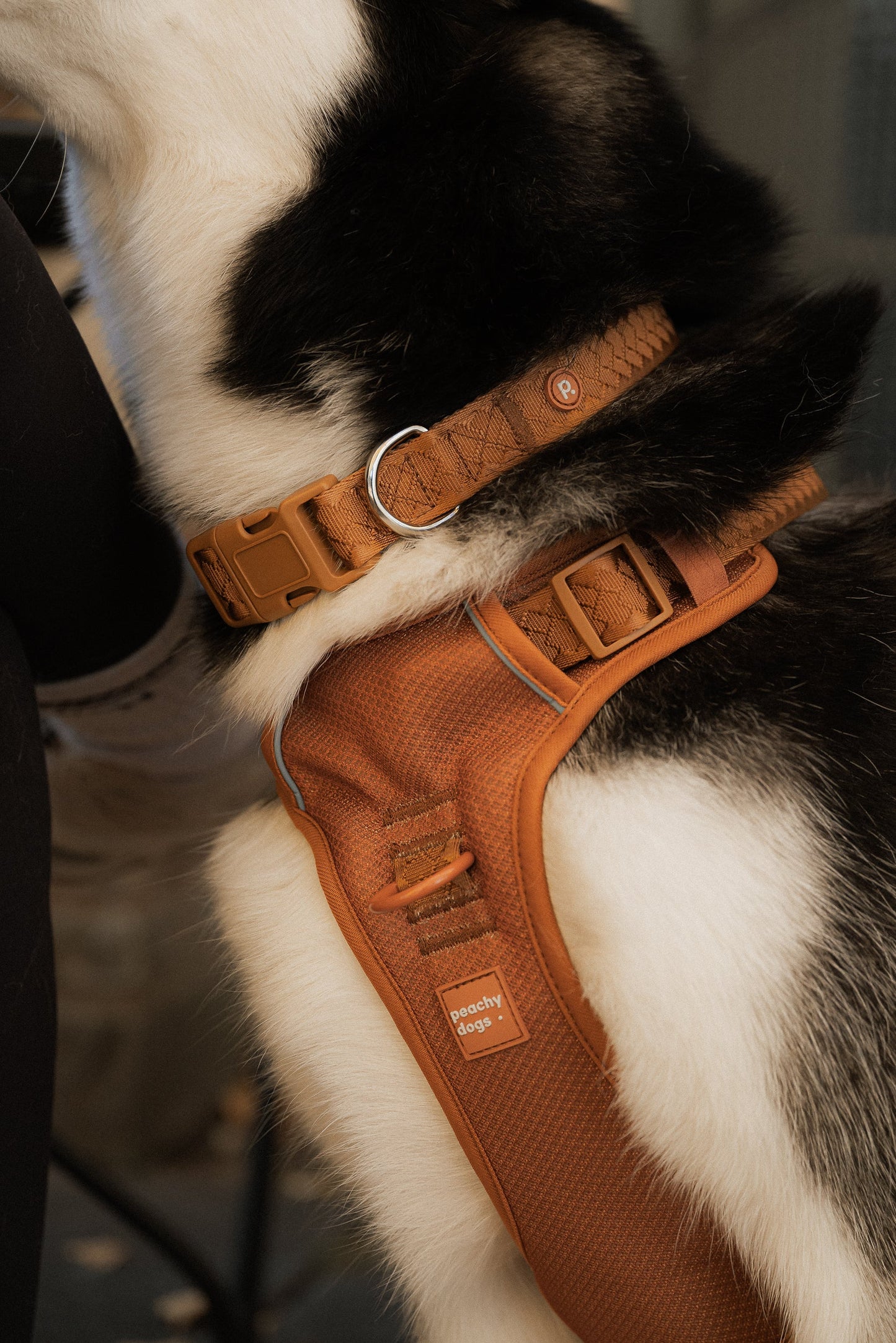 Collier du quotidien Dulce