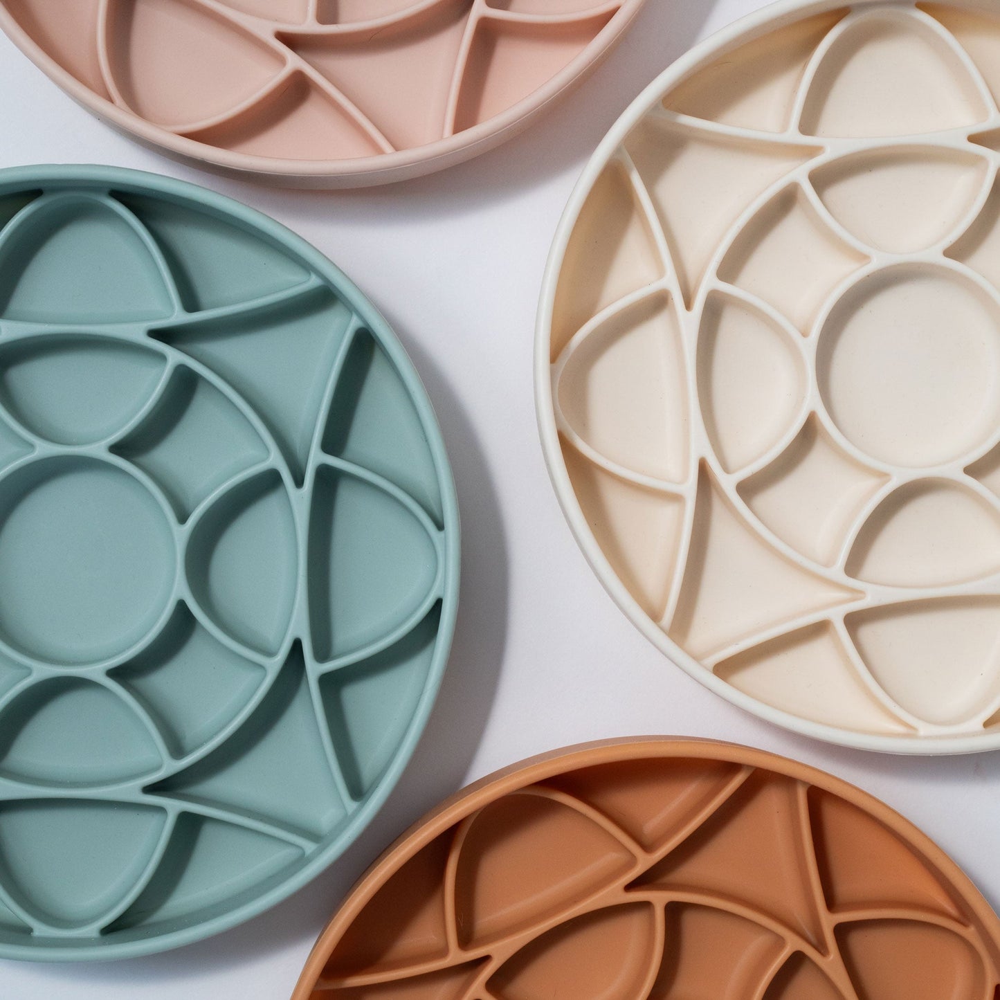 Gamelle circulo rose water