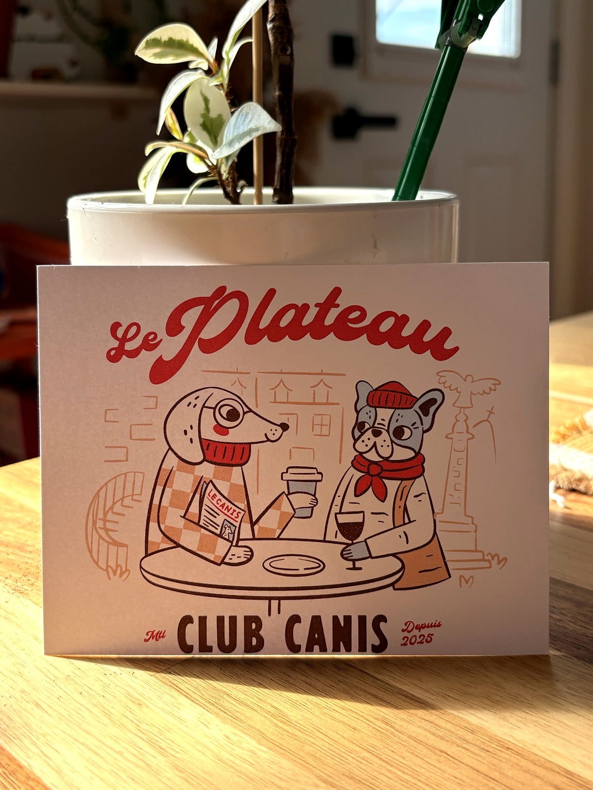 Carte postale Club Canis | Le Plateau Mont Royal