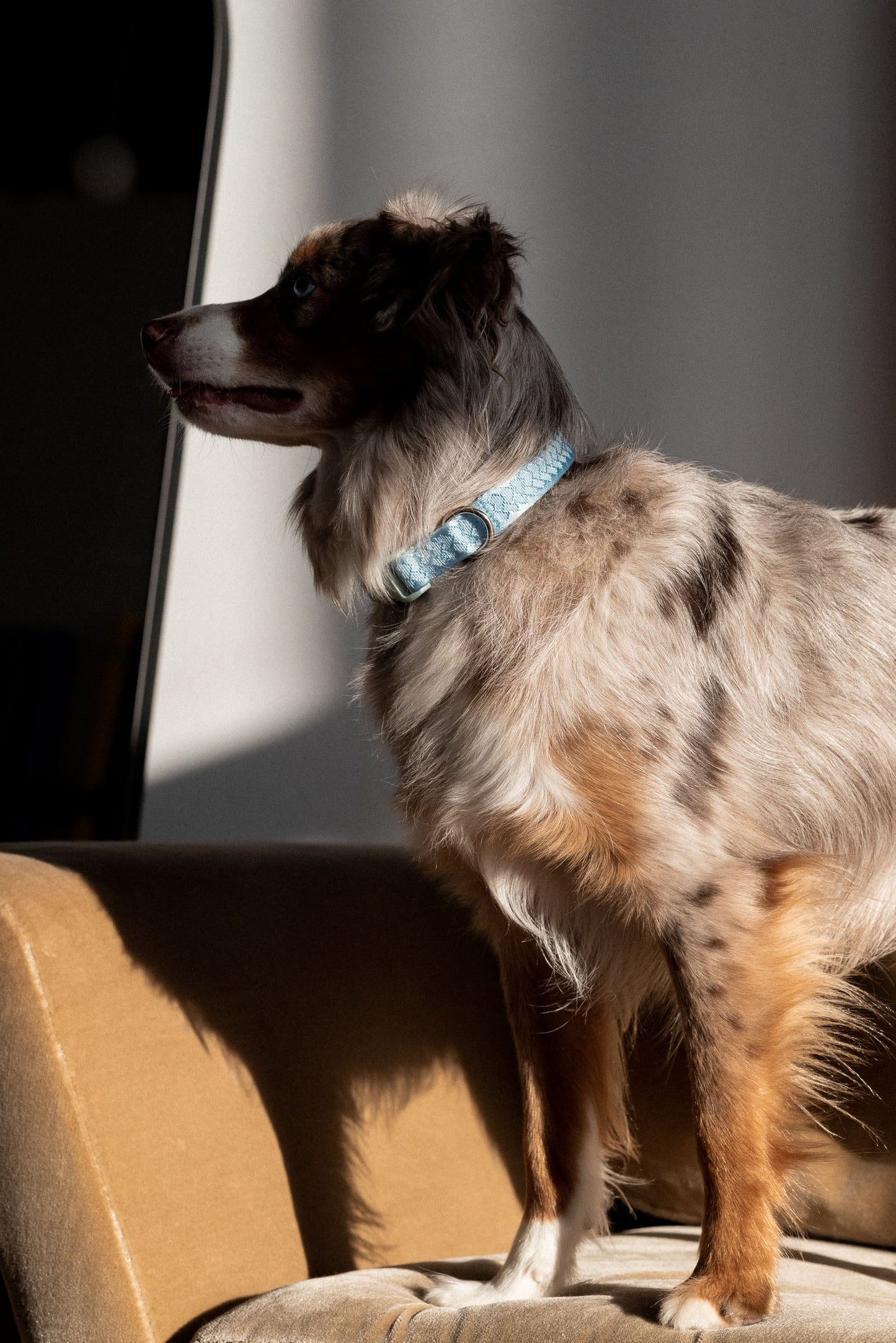 Collier du quotidien Cloud