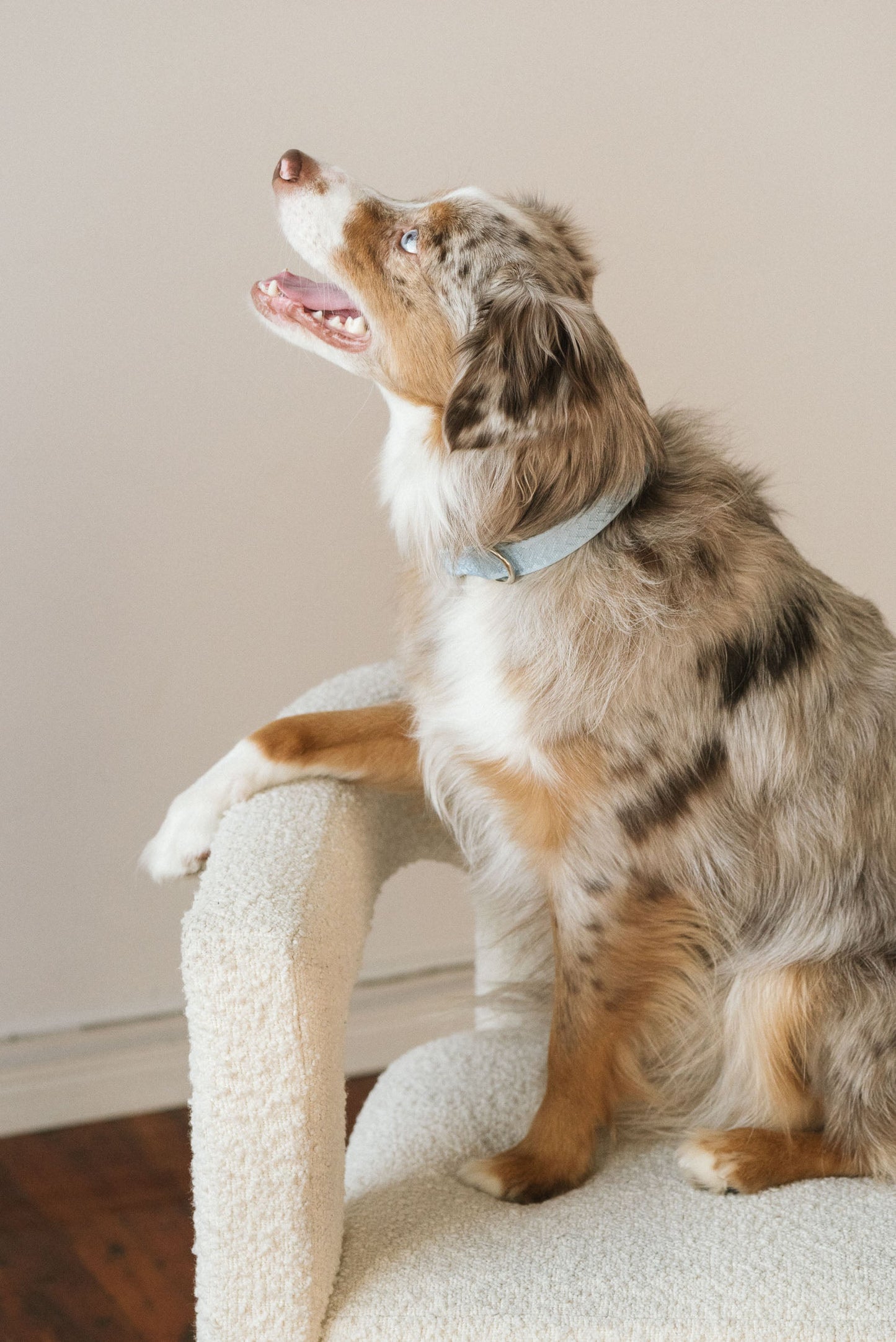 Collier du quotidien Cloud