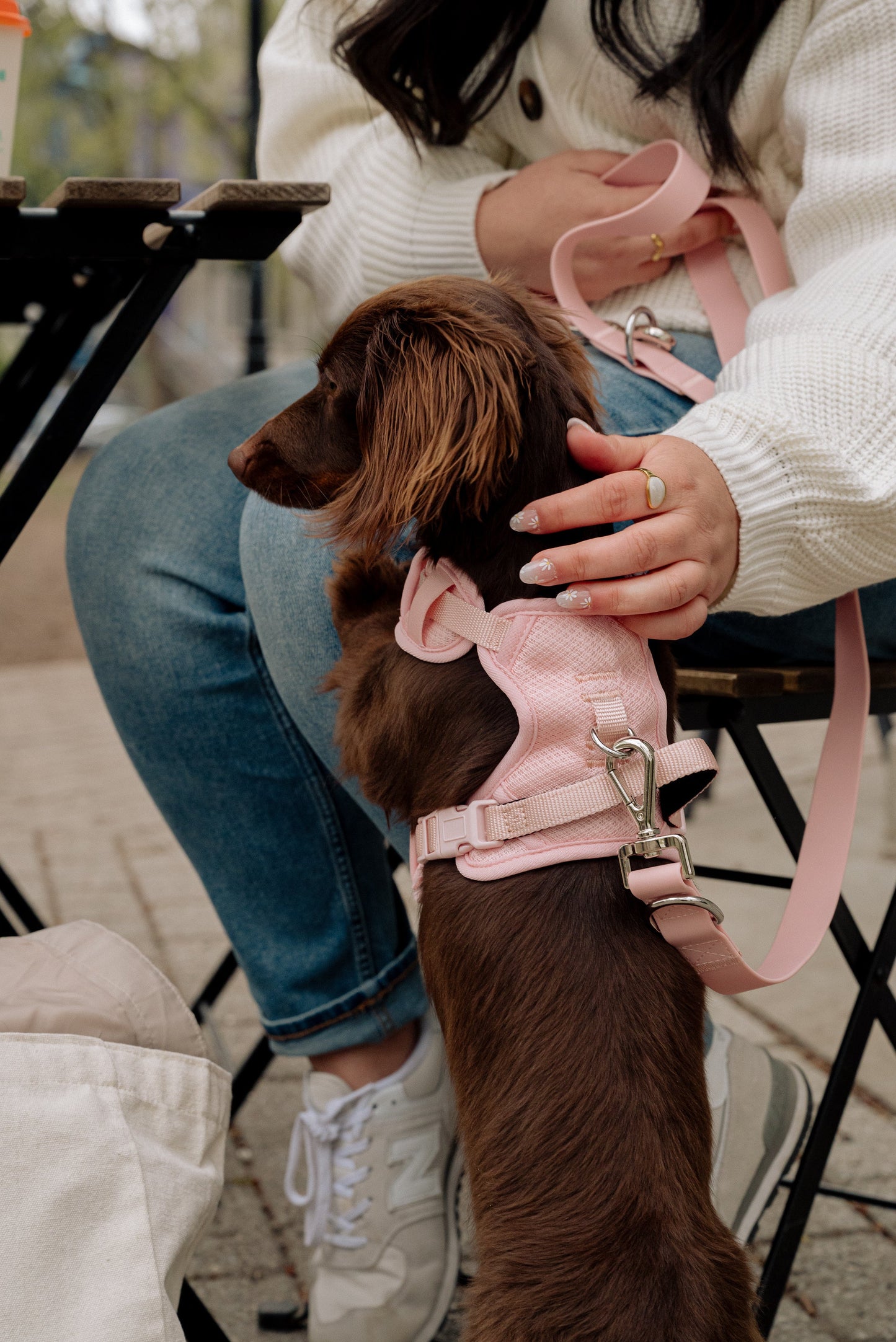 Harnais Classic 2.0 Lychee