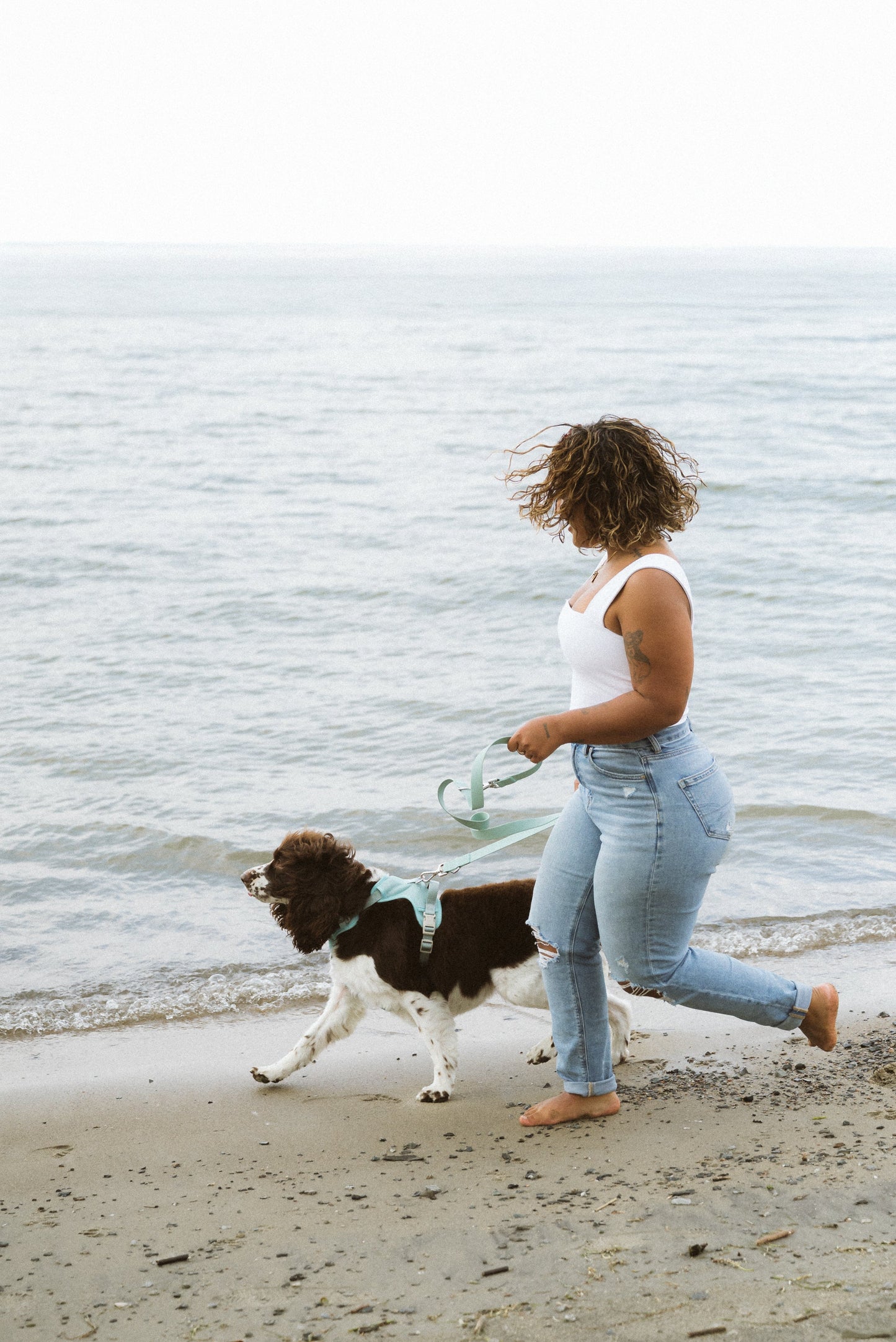 Harnais Classic 2.0  Breeze