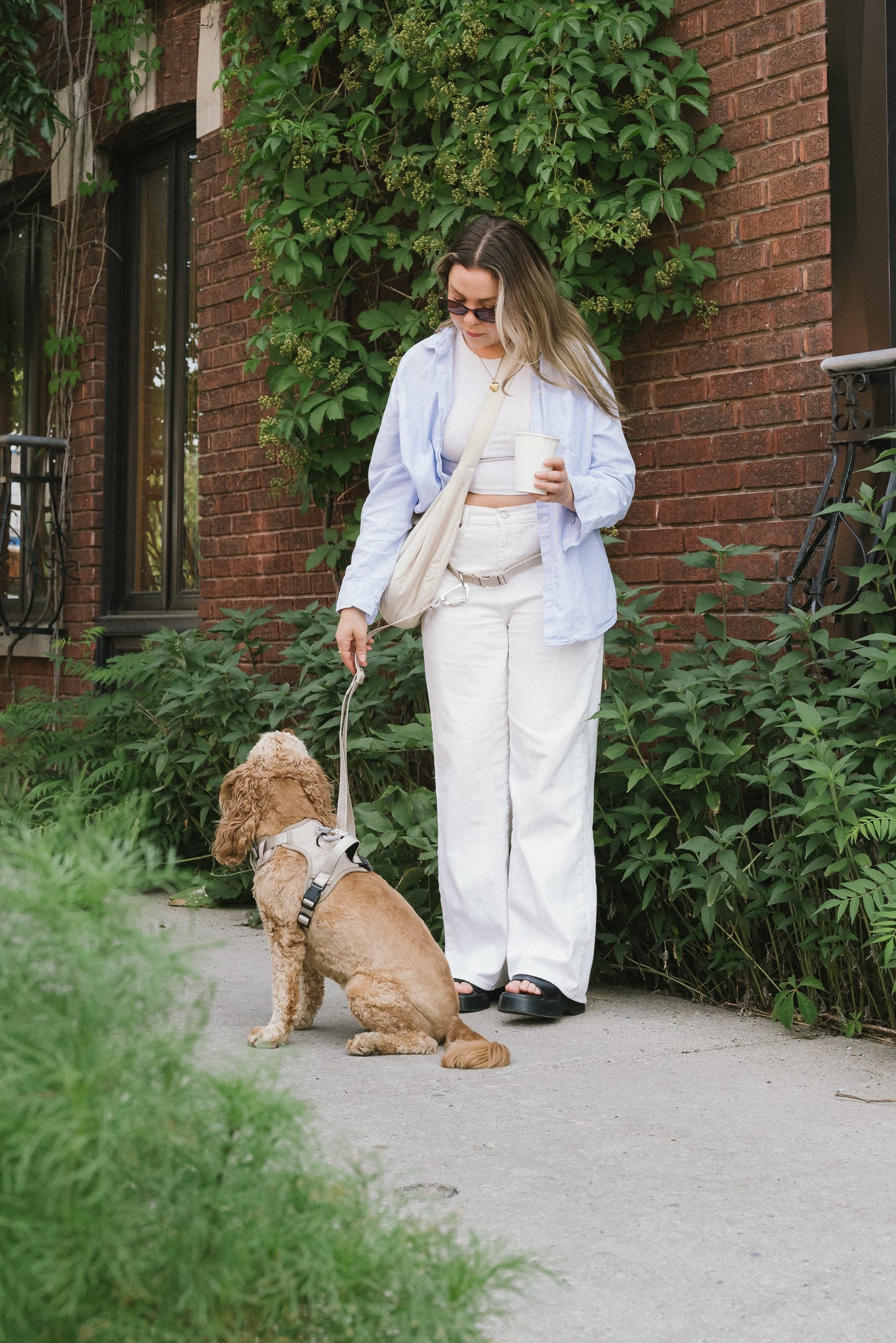 Laisse main libre Affogato