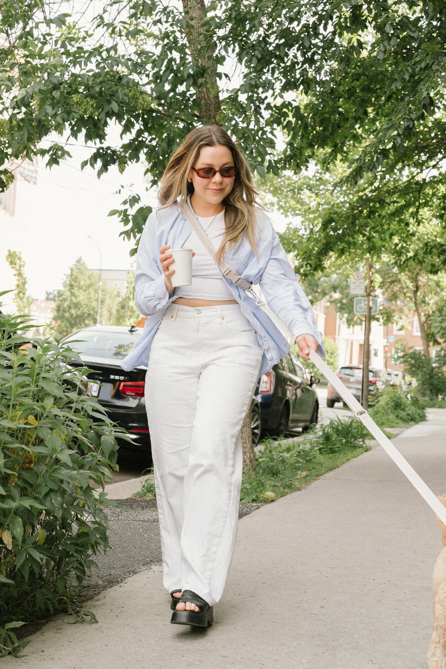 Laisse main libre Affogato