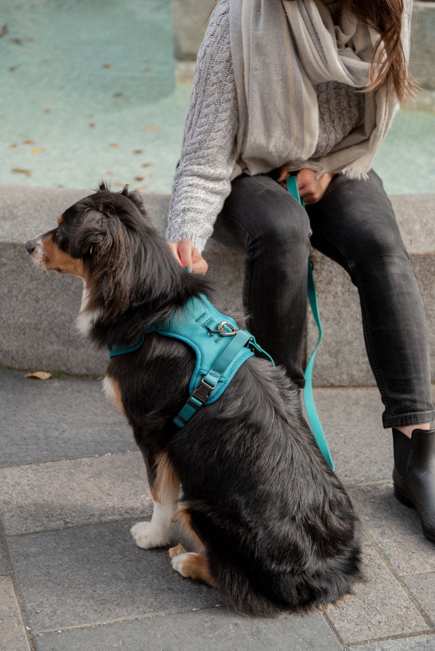 Harnais Classic 2.0 Mojito