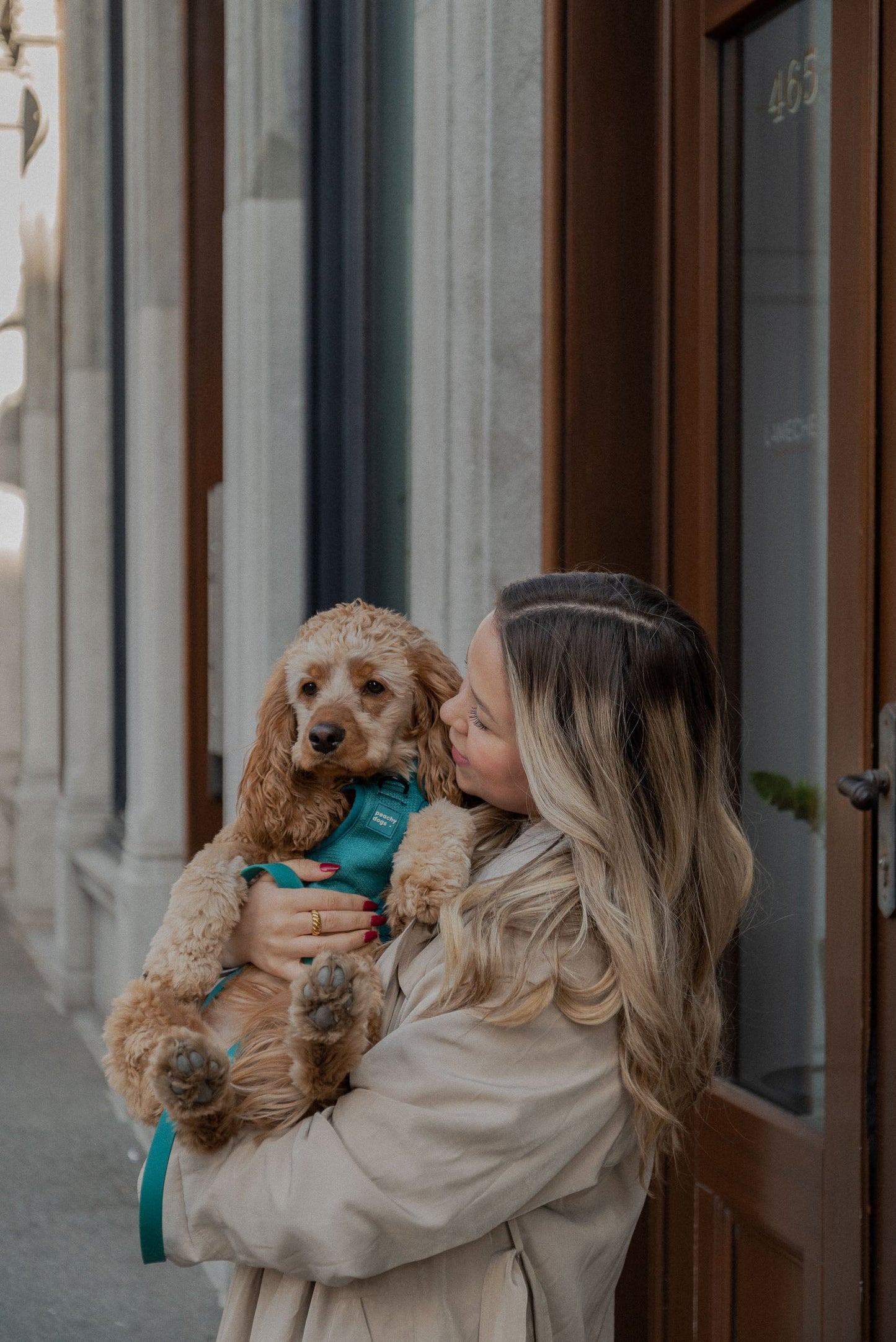 Harnais Classic 2.0 Mojito