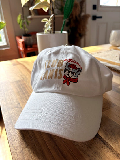 Casquette Le Plateau Montreal Club Canis portée en lifestyle