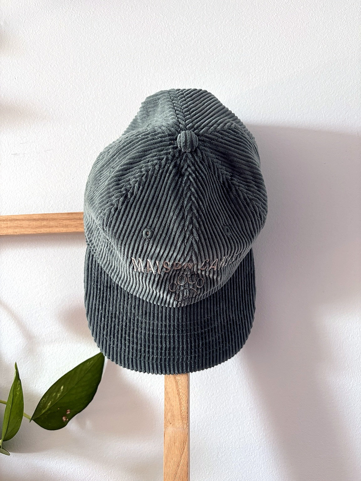 Casquette Maison Canis vue arrière